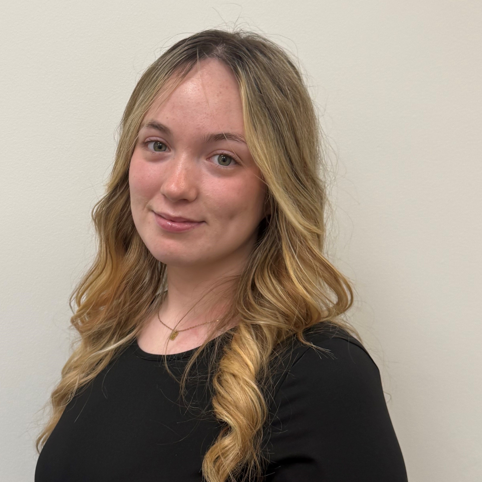 <? echo $image['alt']; ?>